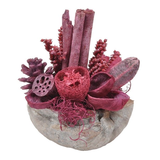 SUHO CVETJE DAR ARANŽMA V KOKOS LUPINI RDEČ ALI ORANŽEN