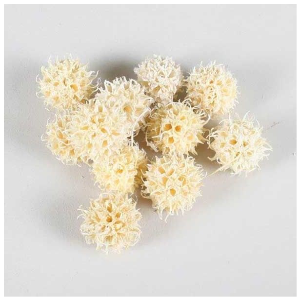 SUHO CVETJE LIQUIDAMBER 40G