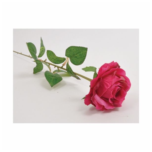 SUHO CVETJE VRTNICA ENOJNA FUKSIJA