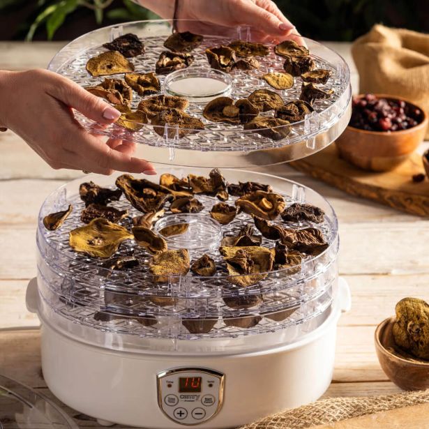 SUŠILNIK HRANE CAMRY CR 6659