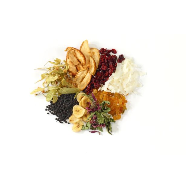 SUŠILNIK HRANE GORENJE FDK500GCW