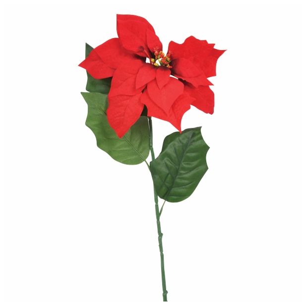 SVILENO CVETJE BOŽIČNA ZVEZDA ENOJNA ŽAMETNA