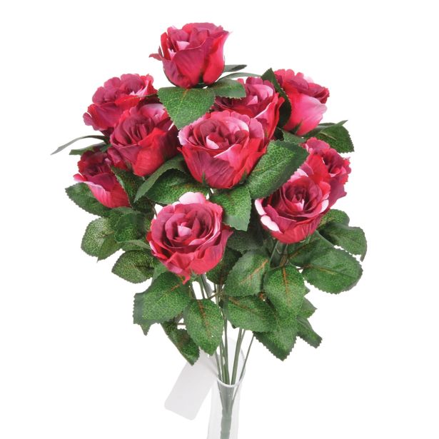 SVILENO CVETJE DAR VRTNICA ŠOPEK X12 FUKSIJA