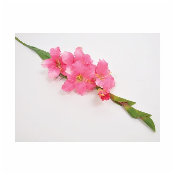 SVILENO CVETJE GLADIOLA ENOJNA ROZA