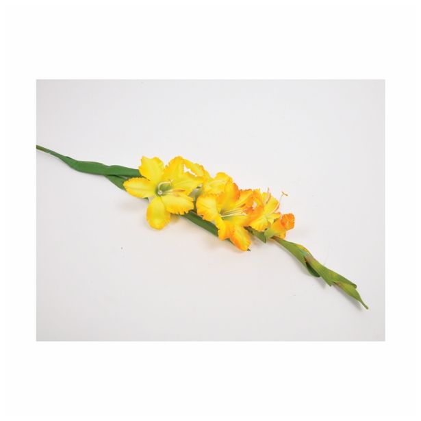 SVILENO CVETJE GLADIOLA ENOJNA RUMENA