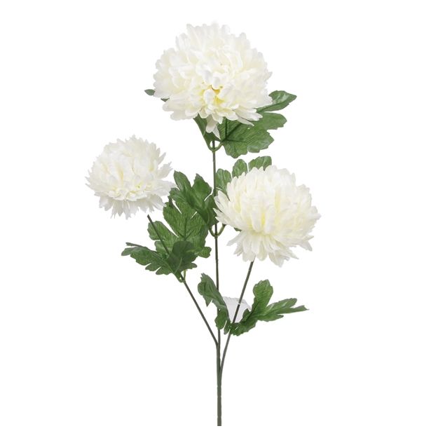 SVILENO CVETJE KRIZANTEMA VEJICA X 3 KREM