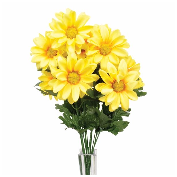 SVILENO CVETJE MARJETICA ŠOPEK RUMEN