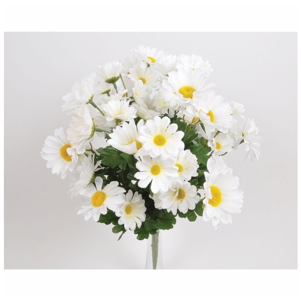 SVILENO CVETJE MARJETICA ŠOPEK X 18/54 ROŽIC BELA