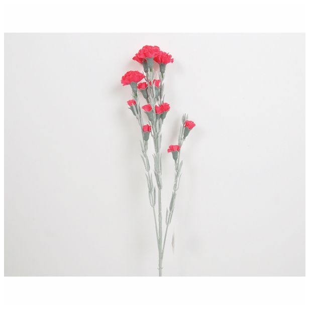 SVILENO CVETJE NAGELJ VEJICA X 5 FUKSIJA