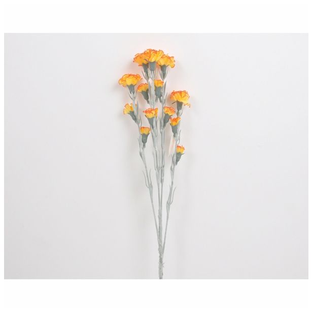 SVILENO CVETJE NAGELJ VEJICA X 5 ORANŽNA