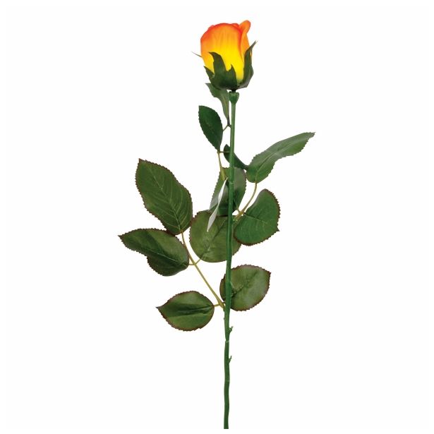 SVILENO CVETJE VRTNICA ENOJNA ORANŽNA