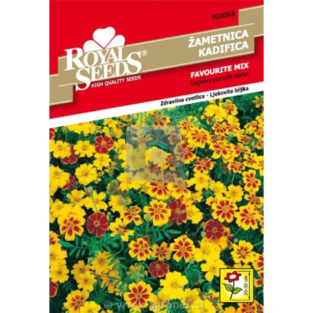 TAGETES ROYAL SEMENA 68 ŽAMETNICA NIZKA