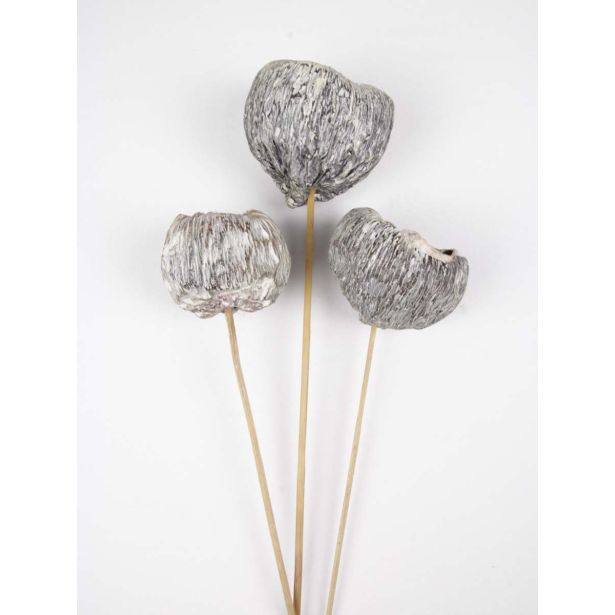 SUHO CVETJE TALAMI 4 KOS