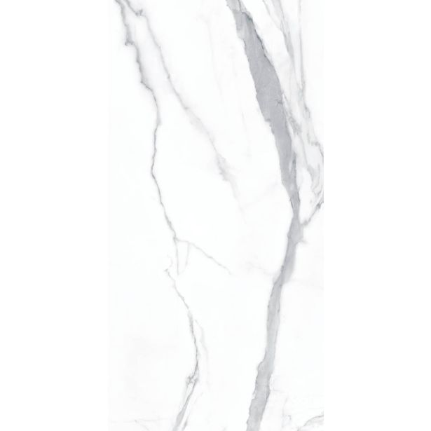 TALNA PLOŠČICA HERBERIA MARMI PREGIATI STATUARIO MATT RET 60X120