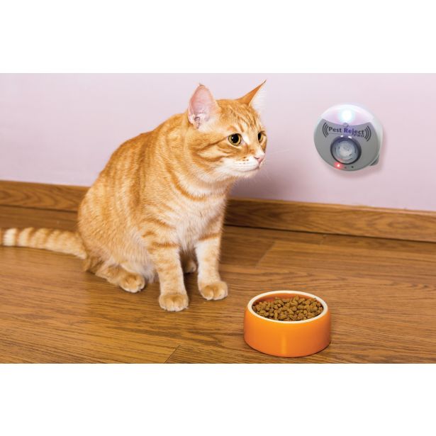 TOP SHOP TOP SHOP PEST REJECT PRO