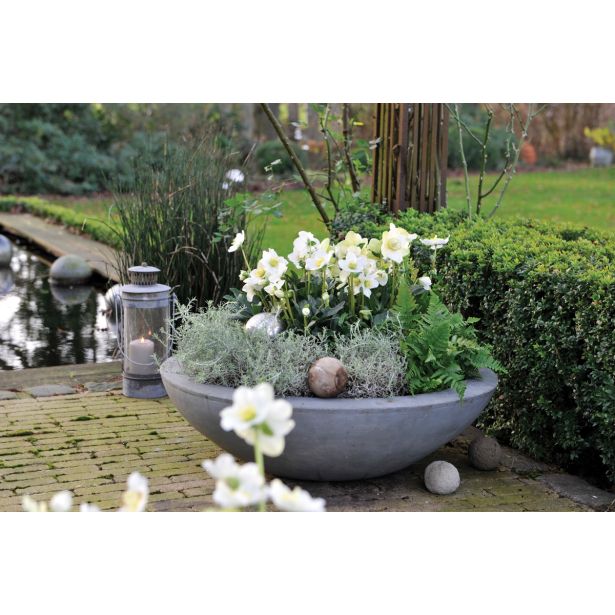 TELOH VOLMARY ČRNI, L19