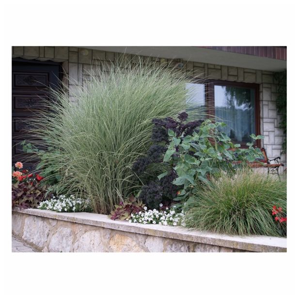 TRAVE TRAJNE TRAVE L19 MIX SORT