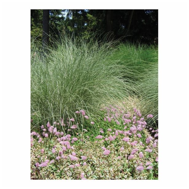 TRAVE TRAJNE TRAVE L19 MIX SORT