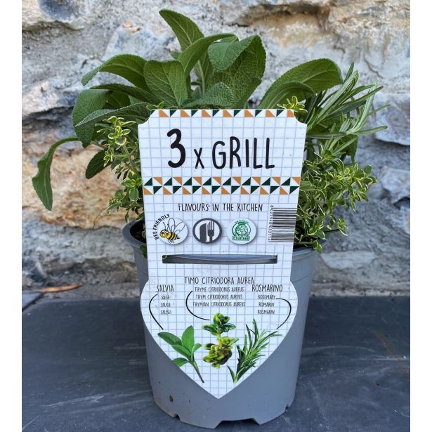 MIX DIŠAVNIC IN ZELIŠČ TRIO GRILL L14