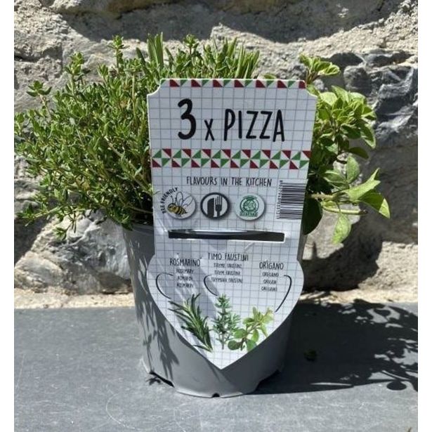 MIX DIŠAVNIC IN ZELIŠČ TRIO PIZZA L14