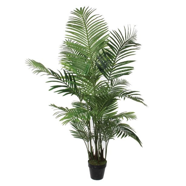 UMETNA LONČNICA MICA AREKA PALMA V ZELENEM LONCU H160XD80CM