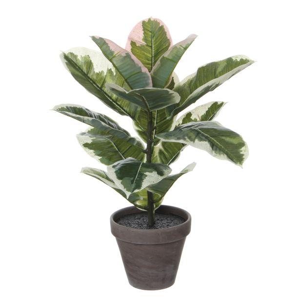 GUMOVEC ZELEN V LONCU STAN SIVEM D13,5CM - H47CM