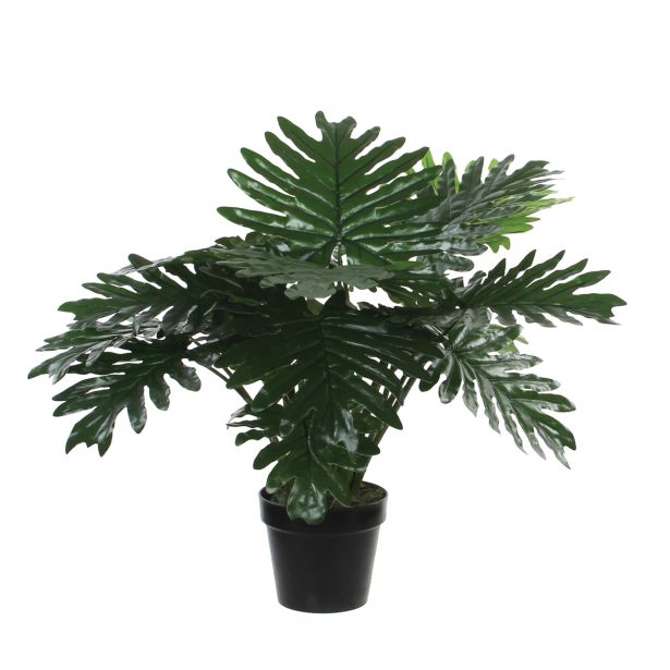 UMETNA LONČNICA MICA PHILODENDRON LONCU H60XD80CM