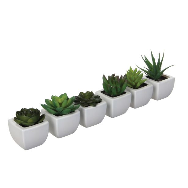 UMETNA LONČNICA MICA SUKULENT ZELENE 6 SORTIRA L5XW5XH8CM