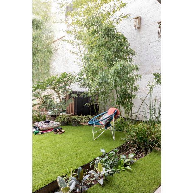 UMETNA TRAVA SALVA 2M