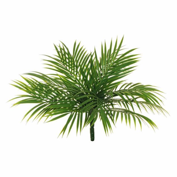 UMETNO CVETJE EVERGREENS AREKA ZELENJE