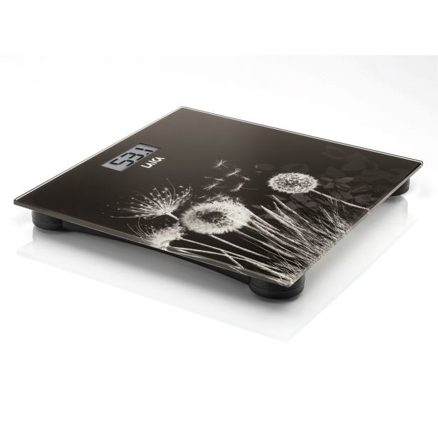 LAICA OSEBNA TEHTNICA USB PS 1080