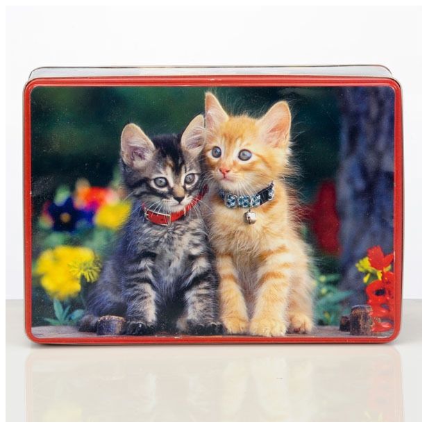 VEČNAMENSKA DOZA 20.6X15.4X8.3 CM MUCE KVADRATNA