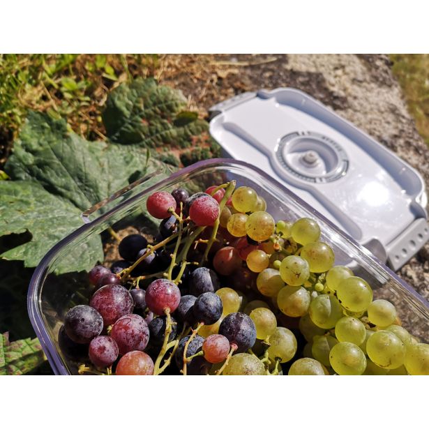 POSODA ZA SHRANJEVANJE STATUS 3-DELNI SET PRAVOKOTNIH VAKUMSKIH POSOD BELA