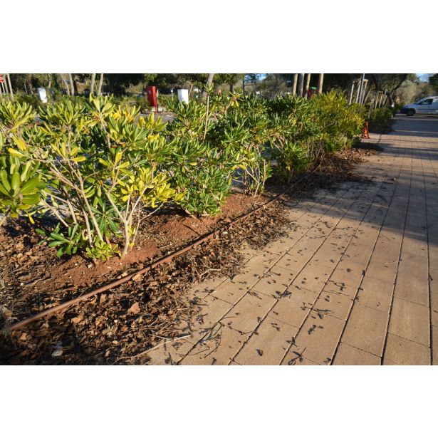 BETONSKI TLAKOVEC OBLAK GROUP VENEZIA MIX 28 GRAN CANARIA-RJAV, PEŠČEN, BEL