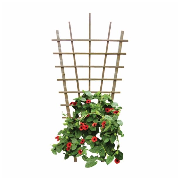 VETRNA MREŽA 105X195 CM REŠETKA ZA ROŽ SMREKA