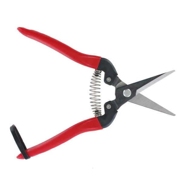 VINOGRADNIŠKE ŠKARJE ARS ZA TRGATEV ARS 300L