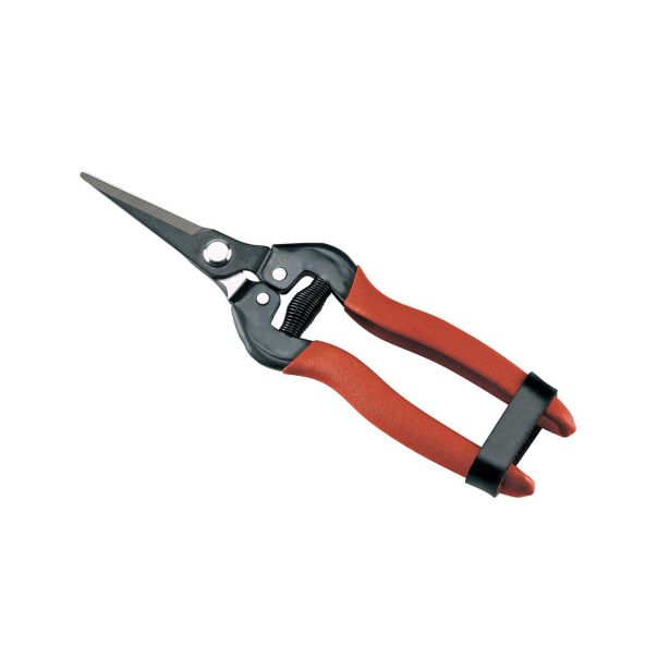 VINOGRADNIŠKE ŠKARJE AUSONIA ZA GROZDJE, ZELENJAVO IN SADJE, 19CM 31315