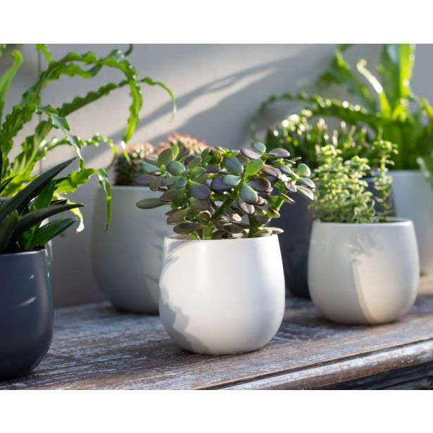 KERAMIČNI NOTRANJI LONEC VITORIA 14 CM BEL