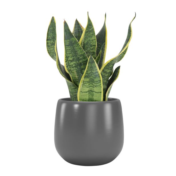 KERAMIČNI NOTRANJI LONEC VITORIA 16 CM TEMNO SIV