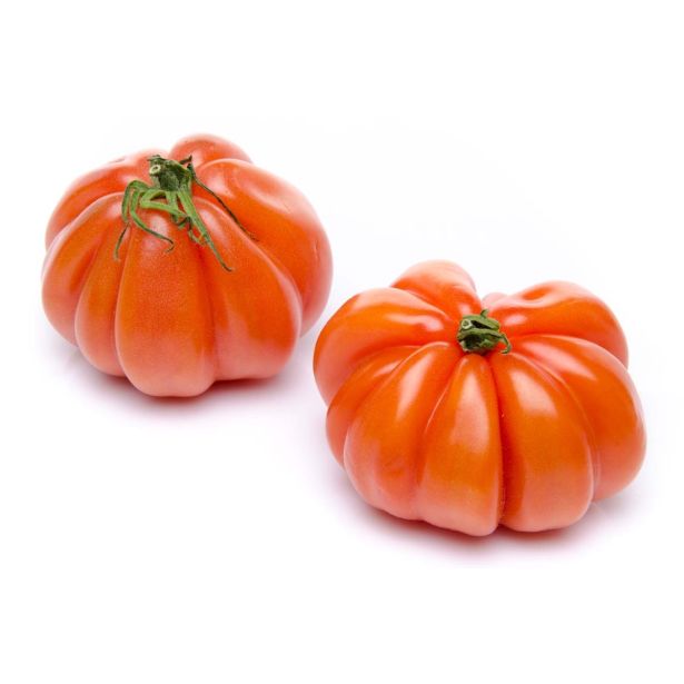 PLODOVKE L'ORTO FRUTTIFERO VOLOVSKO SRCE 1/1 CUORBENGA F1 L10