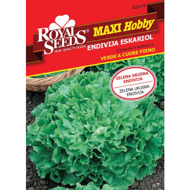 LISTNA ZELENJAVA ROYAL SEEDS VREČICA ROYAL MAXI HOBBY 175 ENDIVJA ESKARIOL