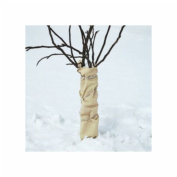 VRTNA KOPRENA WINDHAGER FLIS ZIMSKI 5 X 1.5 M 2 + 1 GRATIS BEŽ