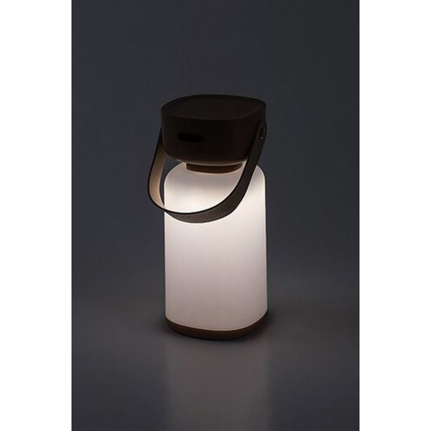 VRTNA LED SVETILKA RABALUX FUNES LED NAMIZNA 3W RJAVA IP44