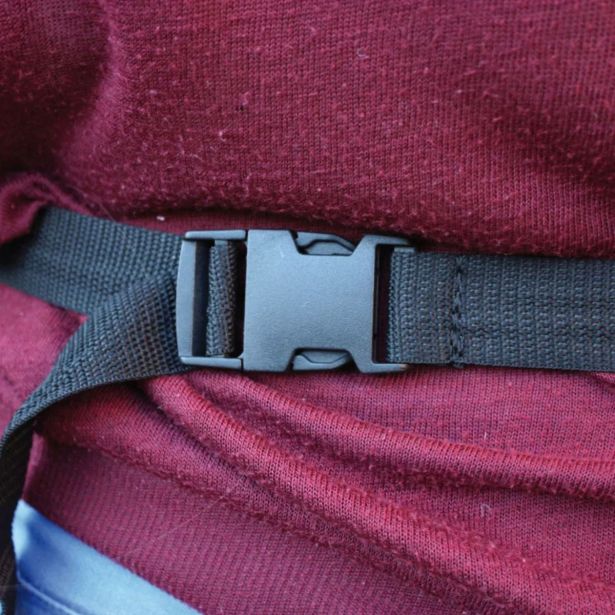 VRTNARSKI PRIPOMOČEK BIOTOP PREDPASNIK ZA NABIRANJE