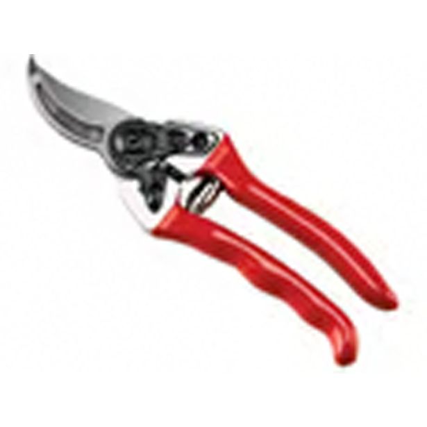 VRTNE ŠKARJE AUSONIA ZA OBREZOVANJE 21 CM 81003