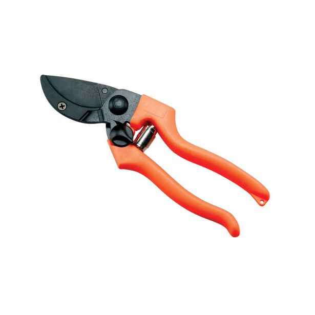 VRTNE ŠKARJE AUSONIA ZA OBREZOVANJE PATIN 5 31134