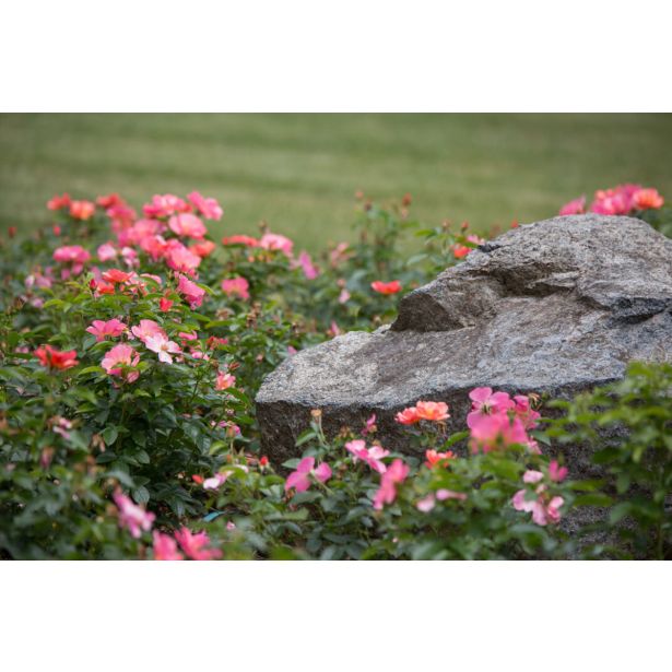 VRTNICA GRMASTA EASY ELEGANCE L19CM