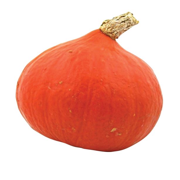 PLODOVKE DOBRO & ZDRAVO BUČA HOKAIDO UCHIKI KURI