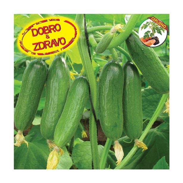 PLODOVKE DOBRO & ZDRAVO CEPLJENE KUMARE BABY ROCKY F1