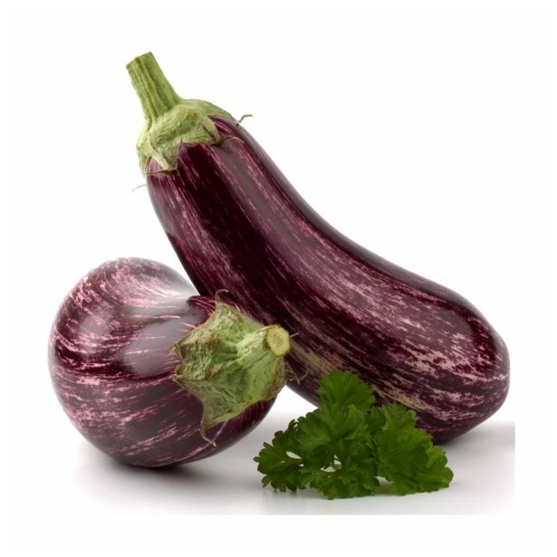 VRTNINA DOBRO & ZDRAVO JAJČEVEC RANIA F1